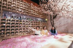 【開催延期】連日1時間半待ち！120万枚の花びらに埋もれるチルアウトバー！ 今年は「食べる花見」を加えて、渋谷で初開催！